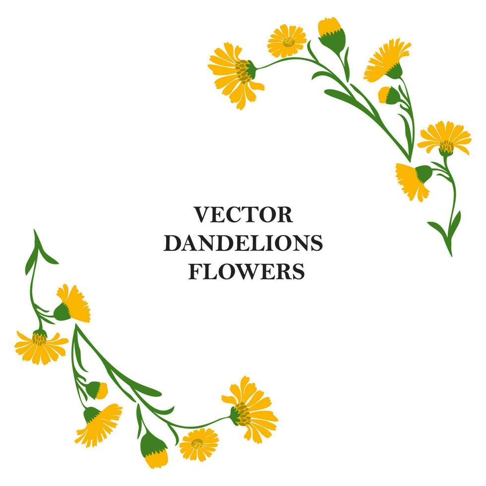 Floral border of plant dandelions isolated on white background. Botanical frame of branch yellow flowers and green leaves daisy vector illustration. Graphic design for greeting, holiday, celebration,