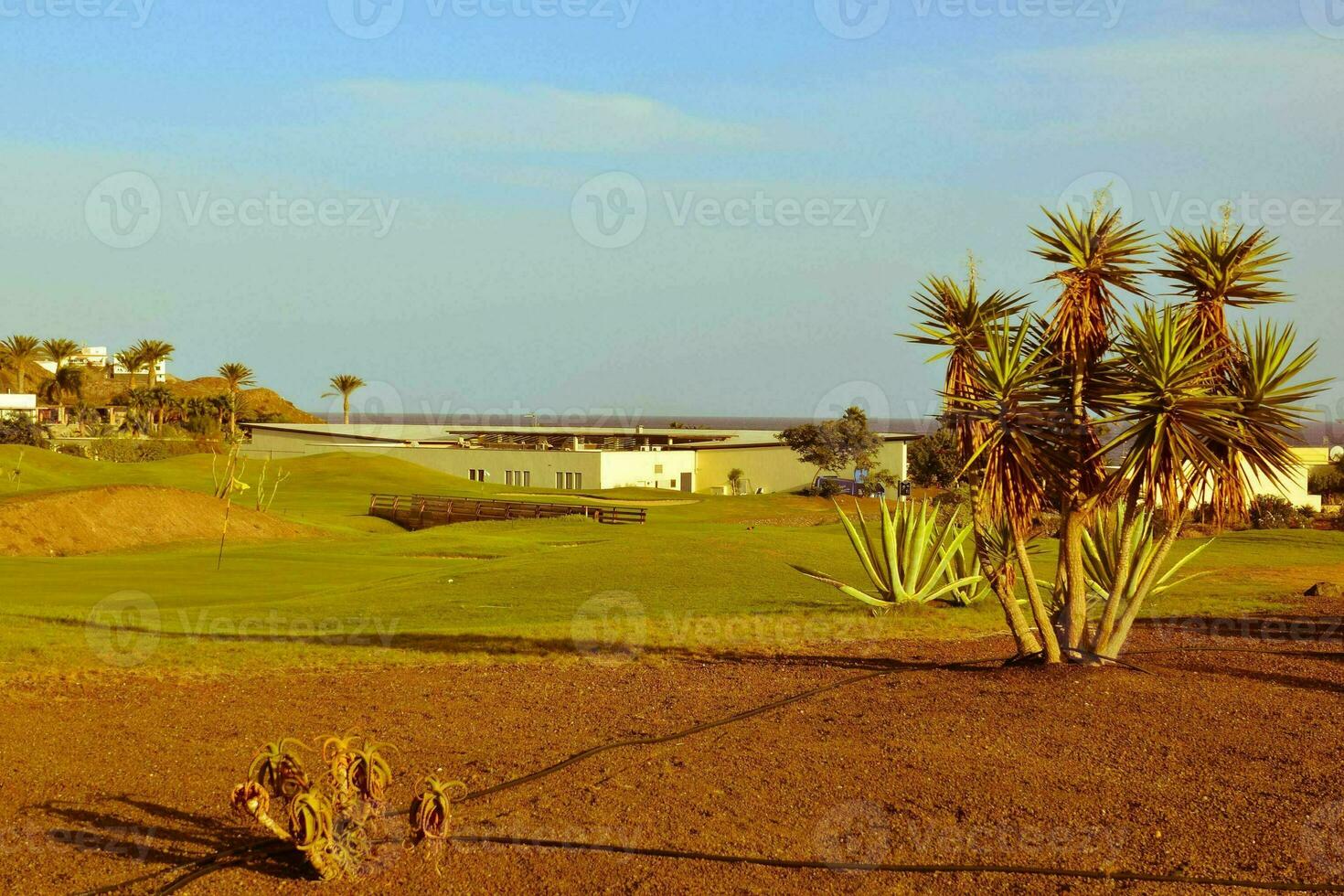 Dry field landscape photo