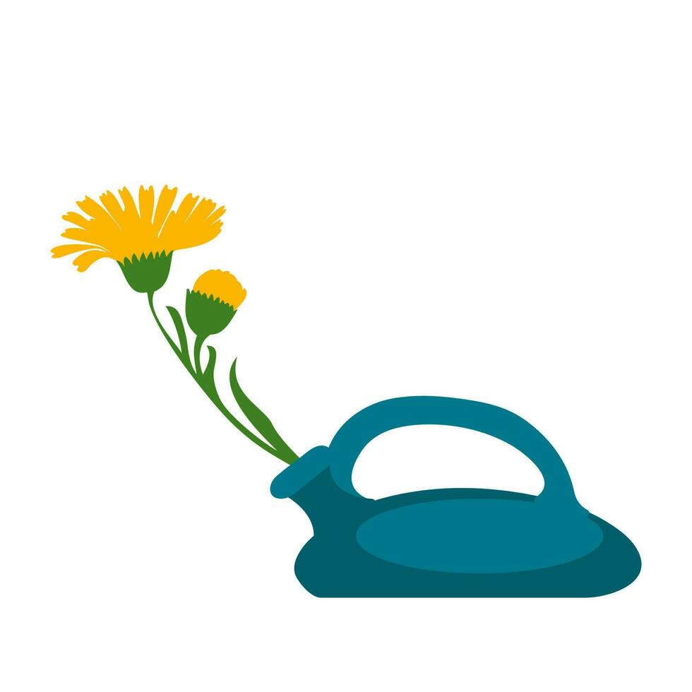 Dandelions plant in pot isolated on white background. Floral botanical branch daisy yellow flowers and green leaves vector illustration. Graphic design for greeting, banner, holiday, celebration, art