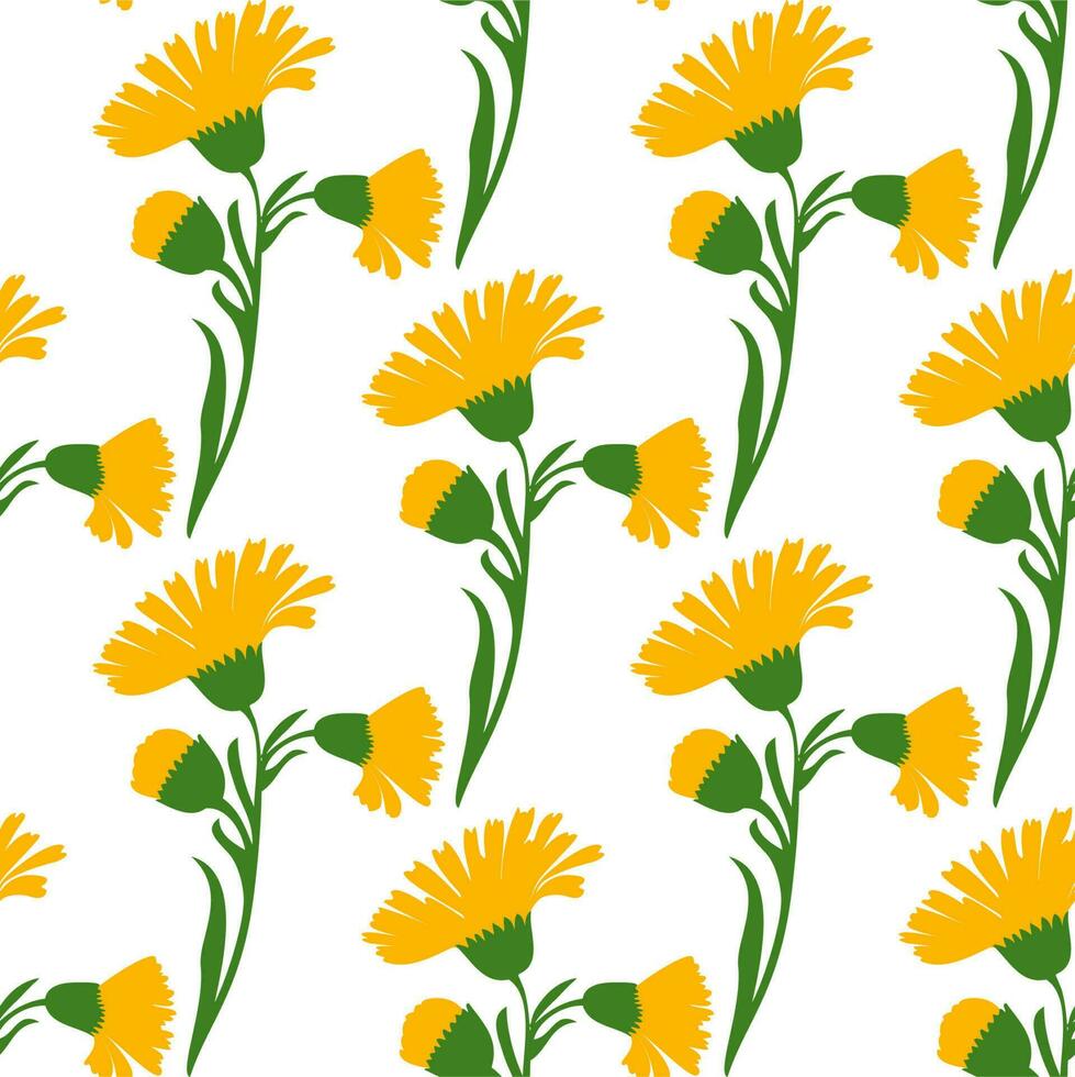 Botanical plant flowers dandelions seamless pattern vector illustration. Daisy branch with yellow flower on white background. Graphic design for greeting, banner, holiday, celebration, fashion, cover