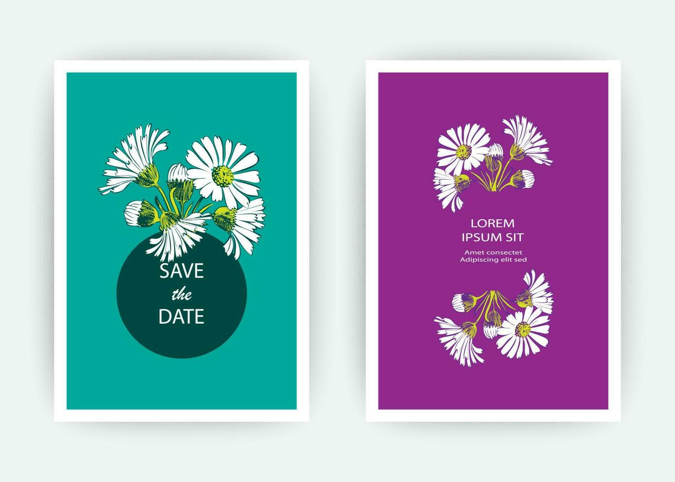 Hand drawn close-up Chrysanthemum flower artistic vector illustration. Botanical wedding ornament. Petals painted in white. Floral trendy pattern Greeting card invitation on blue purple backgrounds