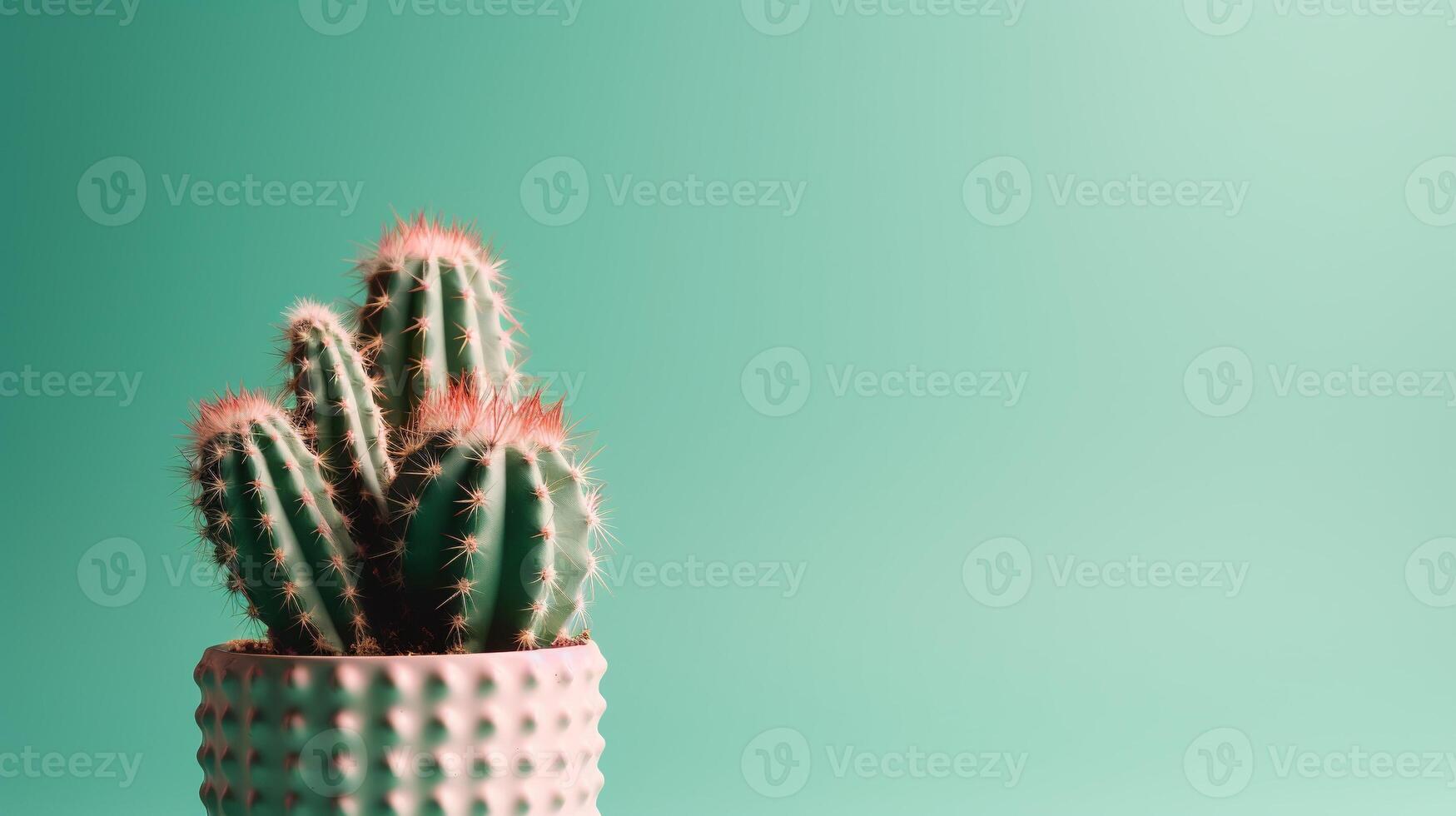 Cactus in a pot on green background. Minimal concept. photo