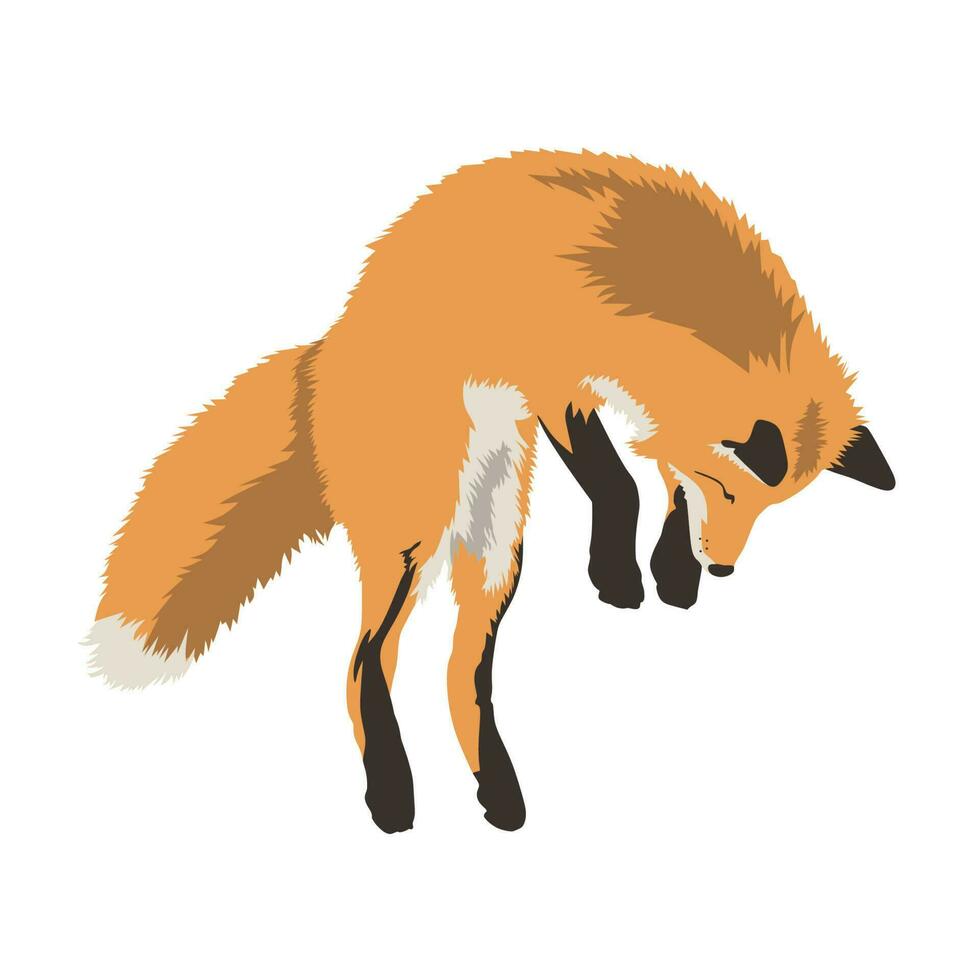 Realistic Red Fox Jumping Vector Illustration