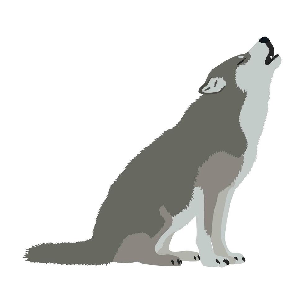 Realistic Gray Wolf Howling Vector Illustration