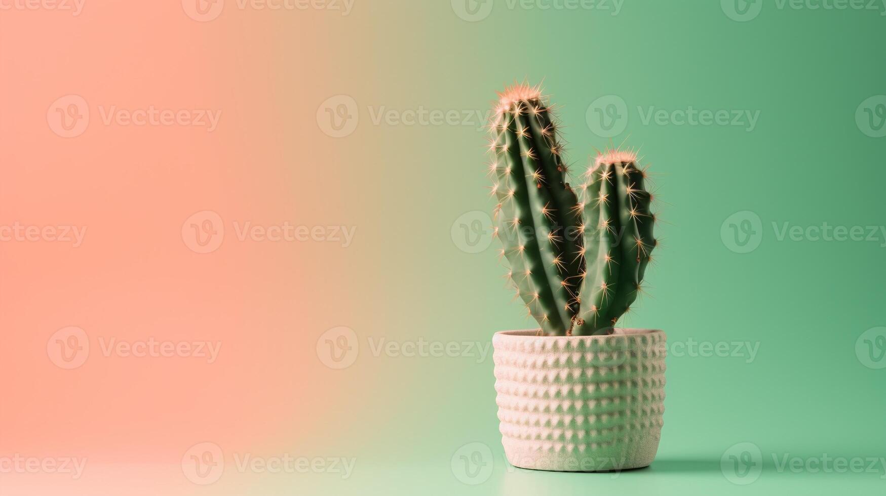 Cactus in a pot on green background. Minimal concept. photo