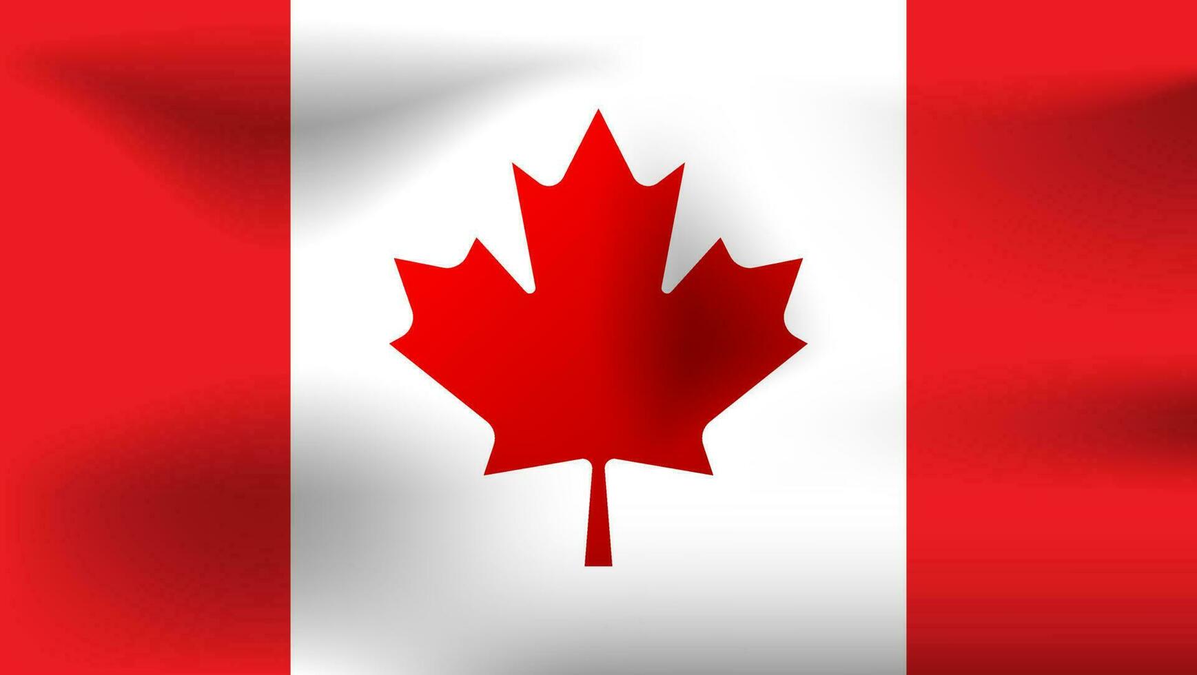 ondulado canadiense bandera vector ilustración en realista estilo