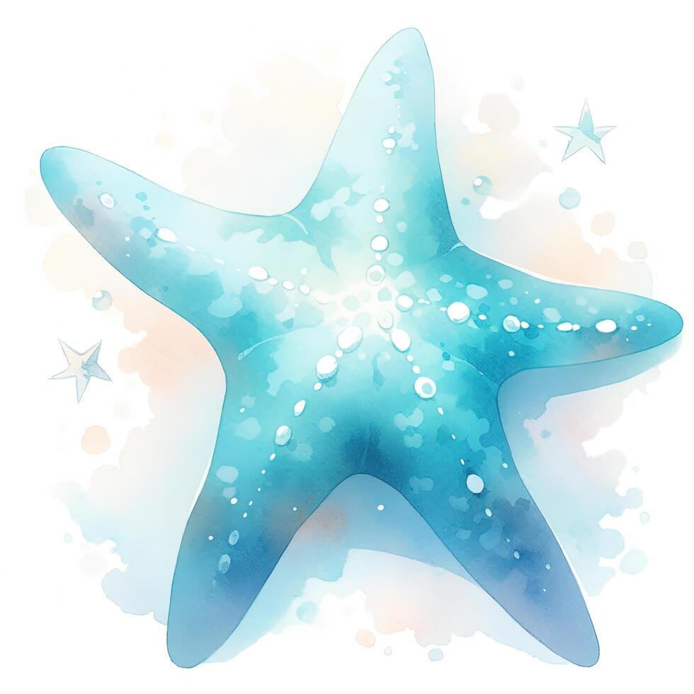 Watercolor starfish. Illustration photo