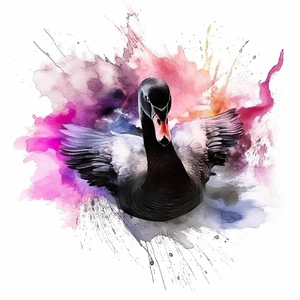 Watercolor black swan. Illustration photo