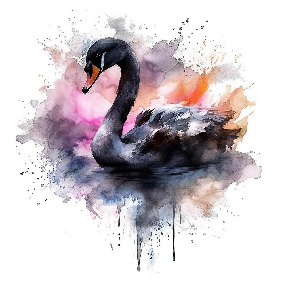 Watercolor black swan. Illustration photo