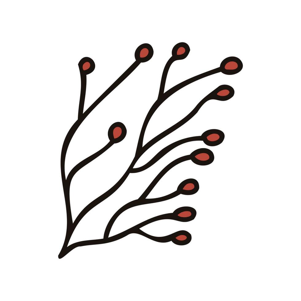 Hand Drawn leaves and twigs from the top view in doodle style vector