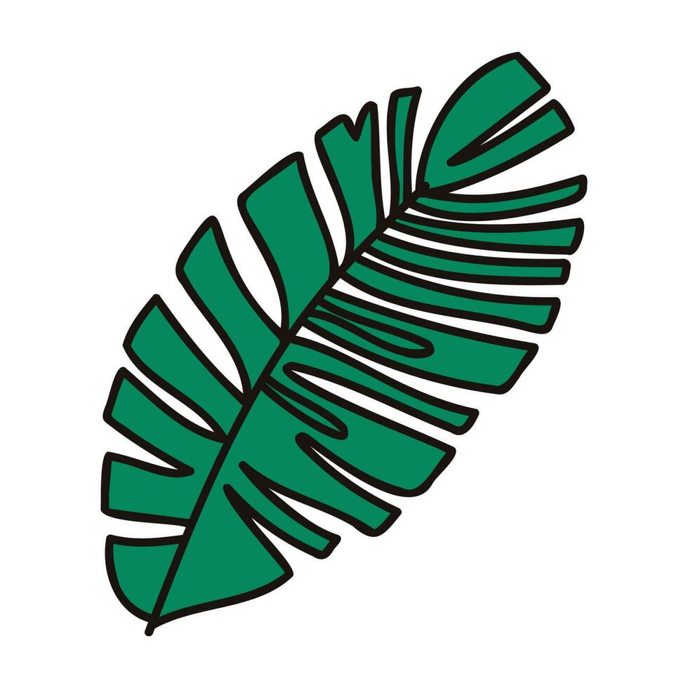 Hand Drawn palm leaves from the top view in doodle style vector