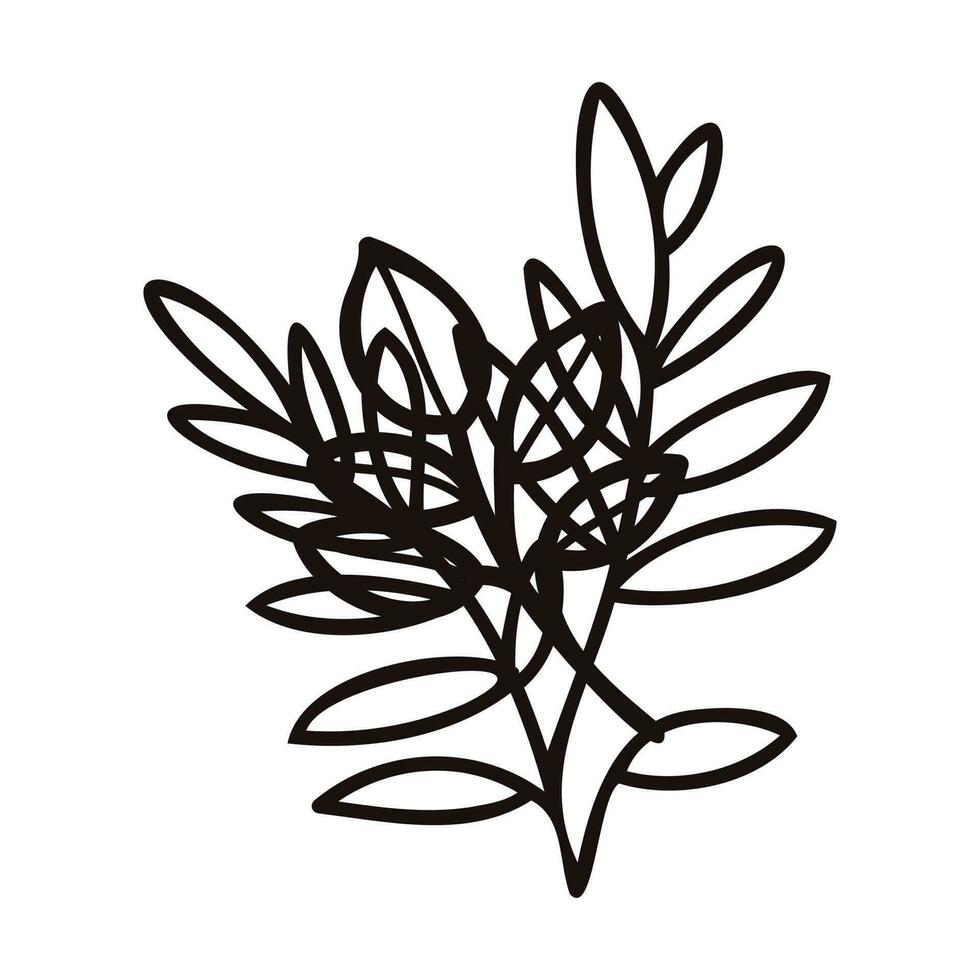 Hand Drawn leaves and twigs from the top view in doodle style vector