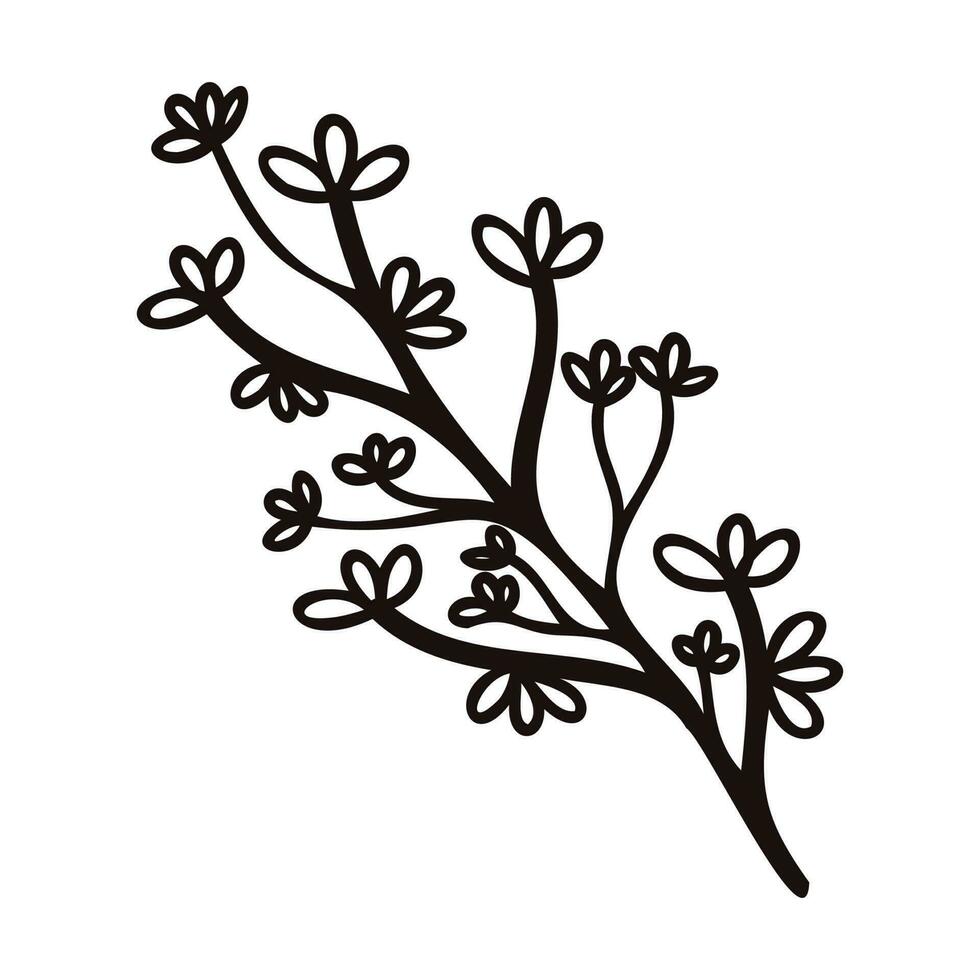 Hand Drawn leaves and twigs from the top view in doodle style vector