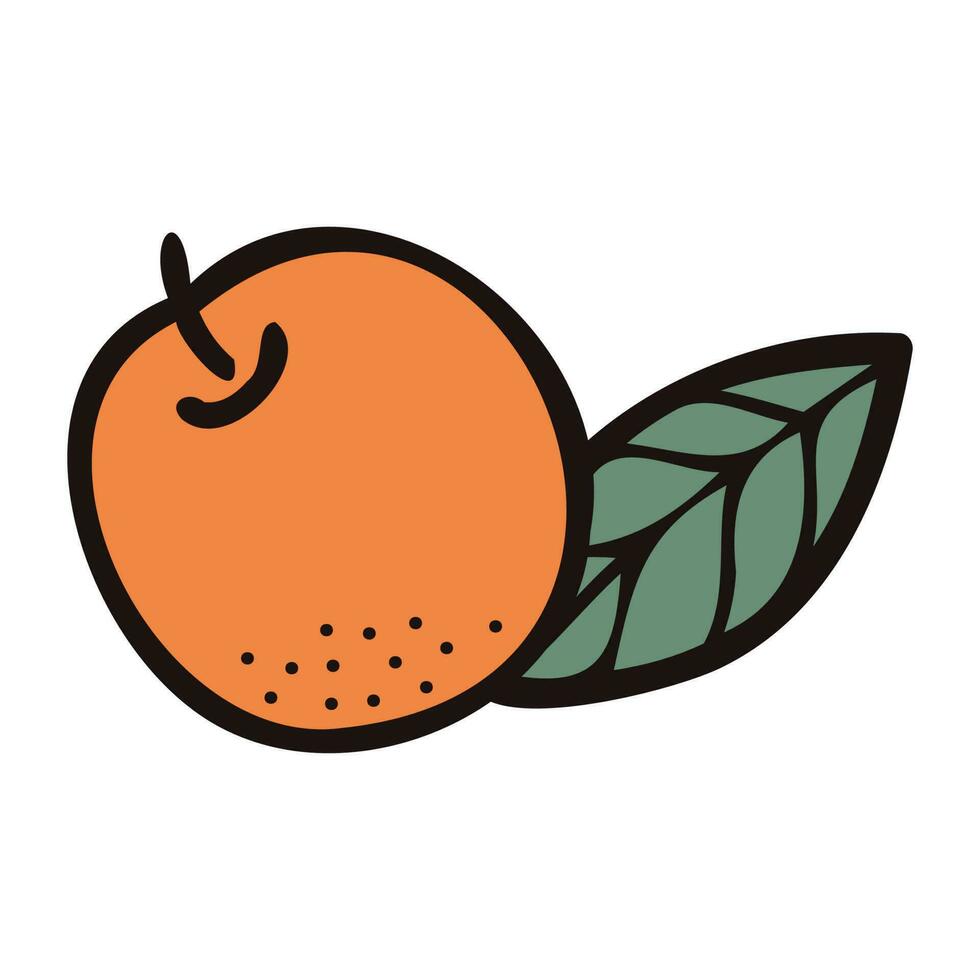 Hand Drawn orange in doodle style vector