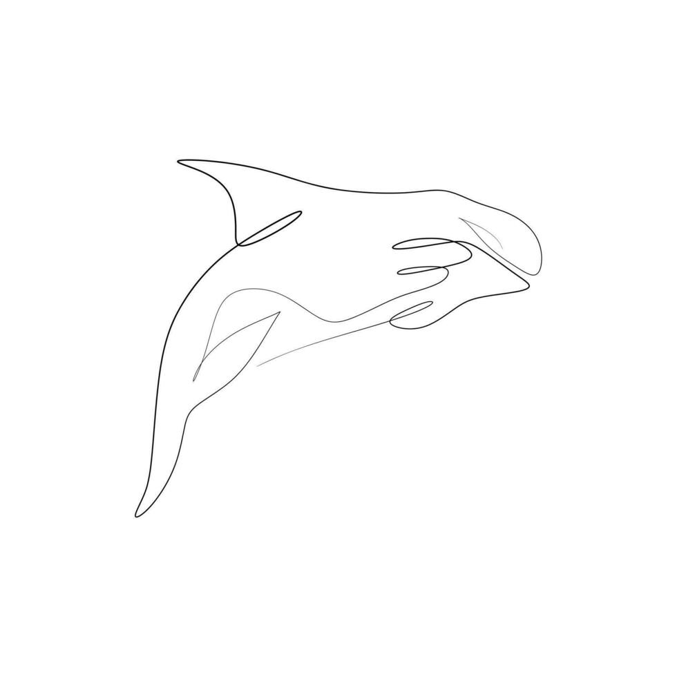 Continuous one line drawing of an orca vector illustration isolated on white background. Orcinus orca or killer whale drawing