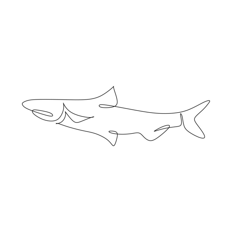 Continuous one line drawing of salmon on white background. Vector illustration