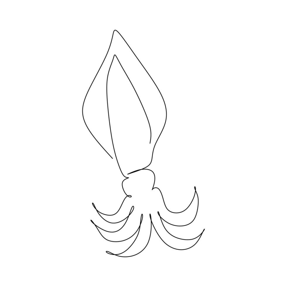 continuous line drawing of squid on white background, vector illustration