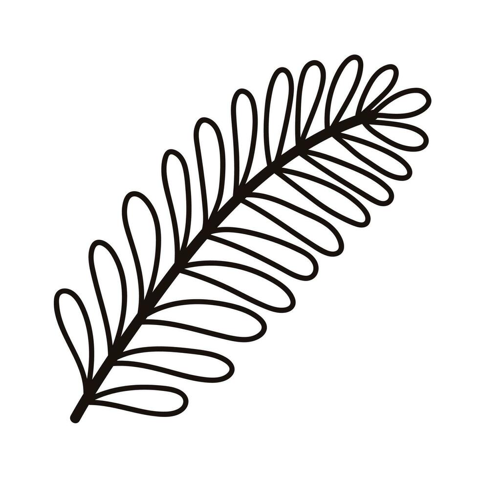 Hand Drawn palm leaves from the top view in doodle style vector