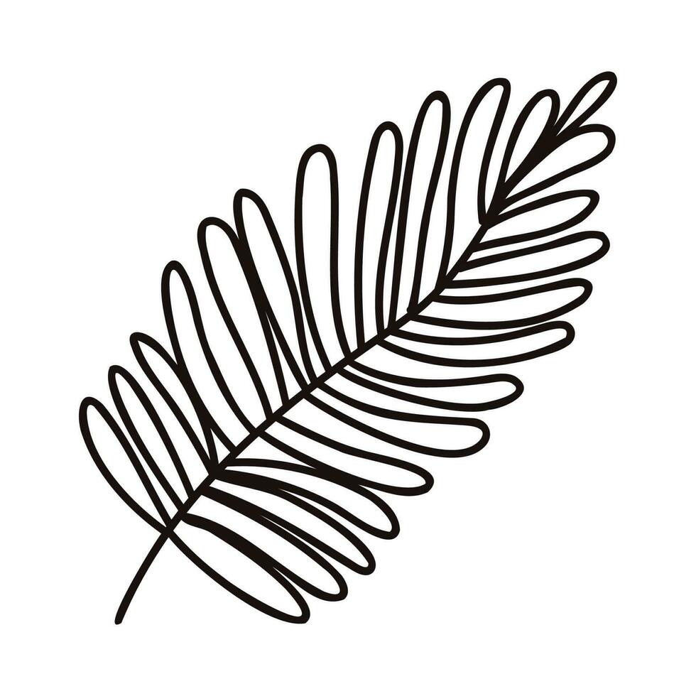 Hand Drawn palm leaves from the top view in doodle style vector