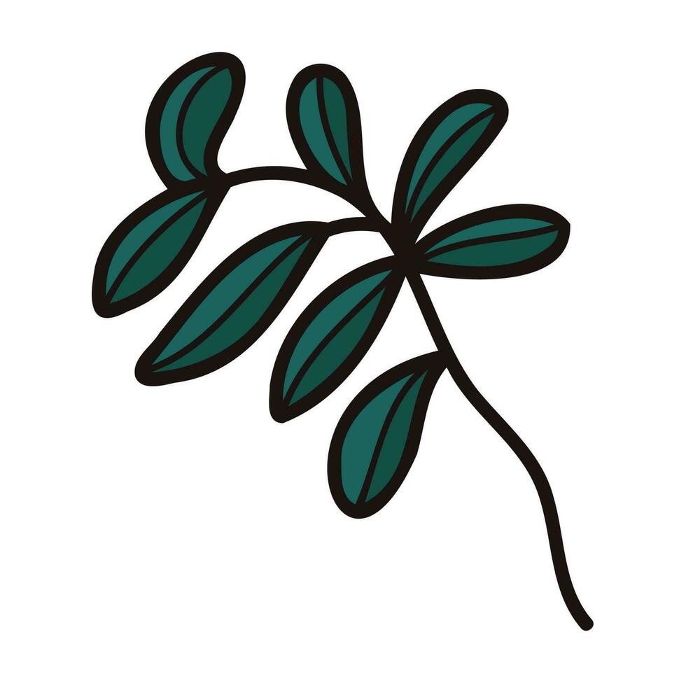 Hand Drawn leaves and twigs from the top view in doodle style vector