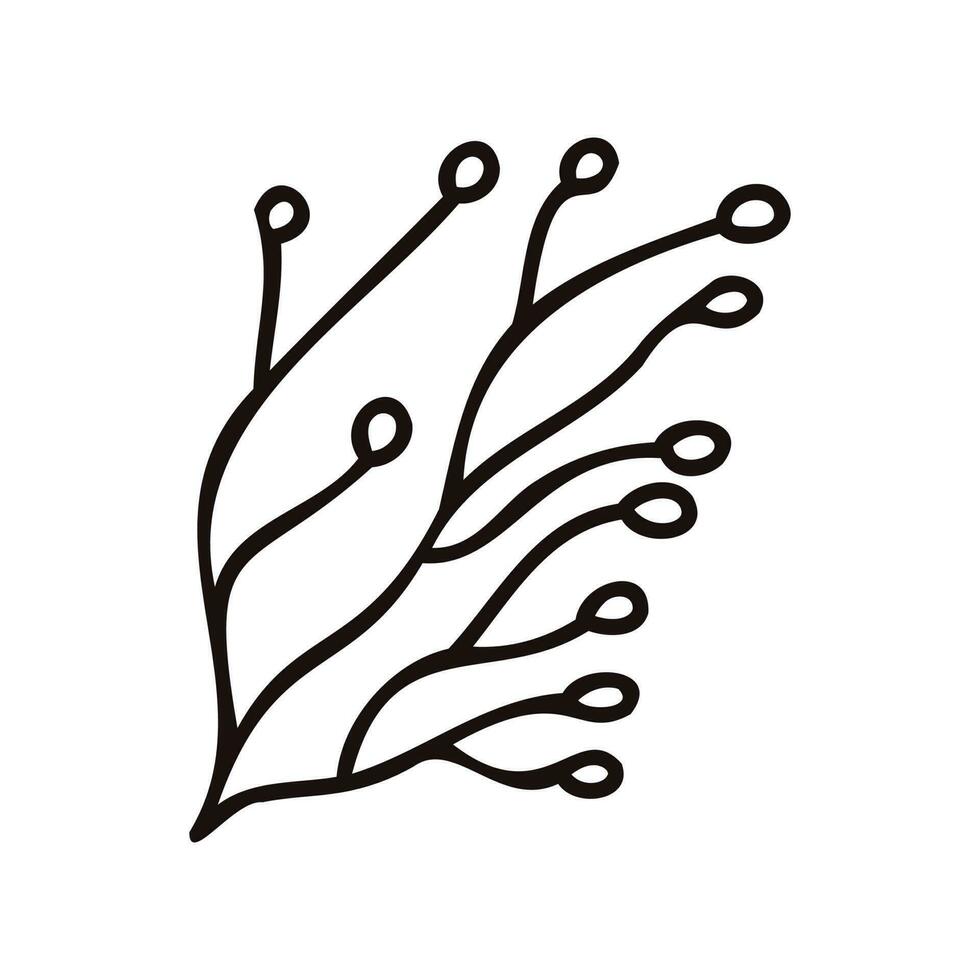 Hand Drawn leaves and twigs from the top view in doodle style vector