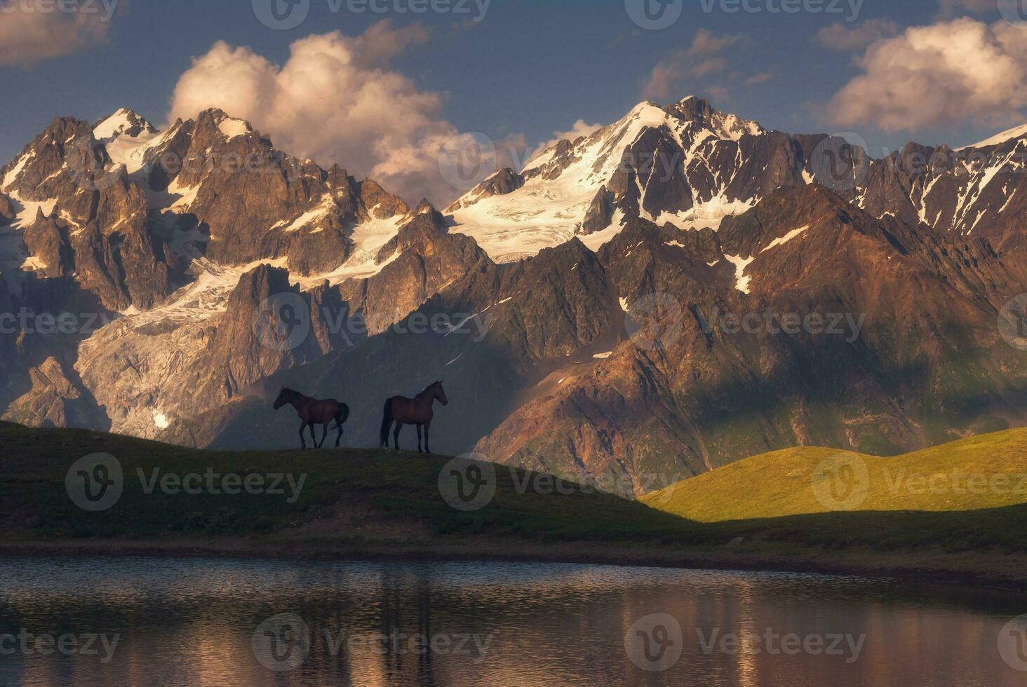 beautiful horses stand over a mountain lake in the background of mountains photo