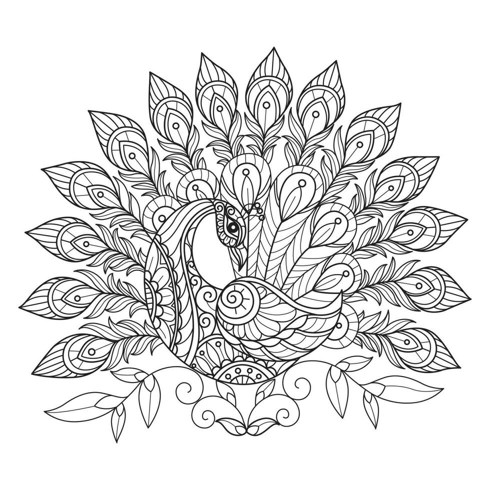 Cute peacock hand drawn for adult coloring book vector