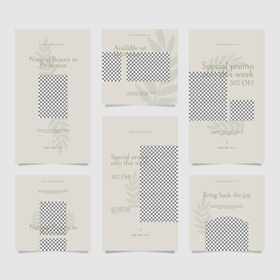 Modern and minimalist feeds and stories template. vector