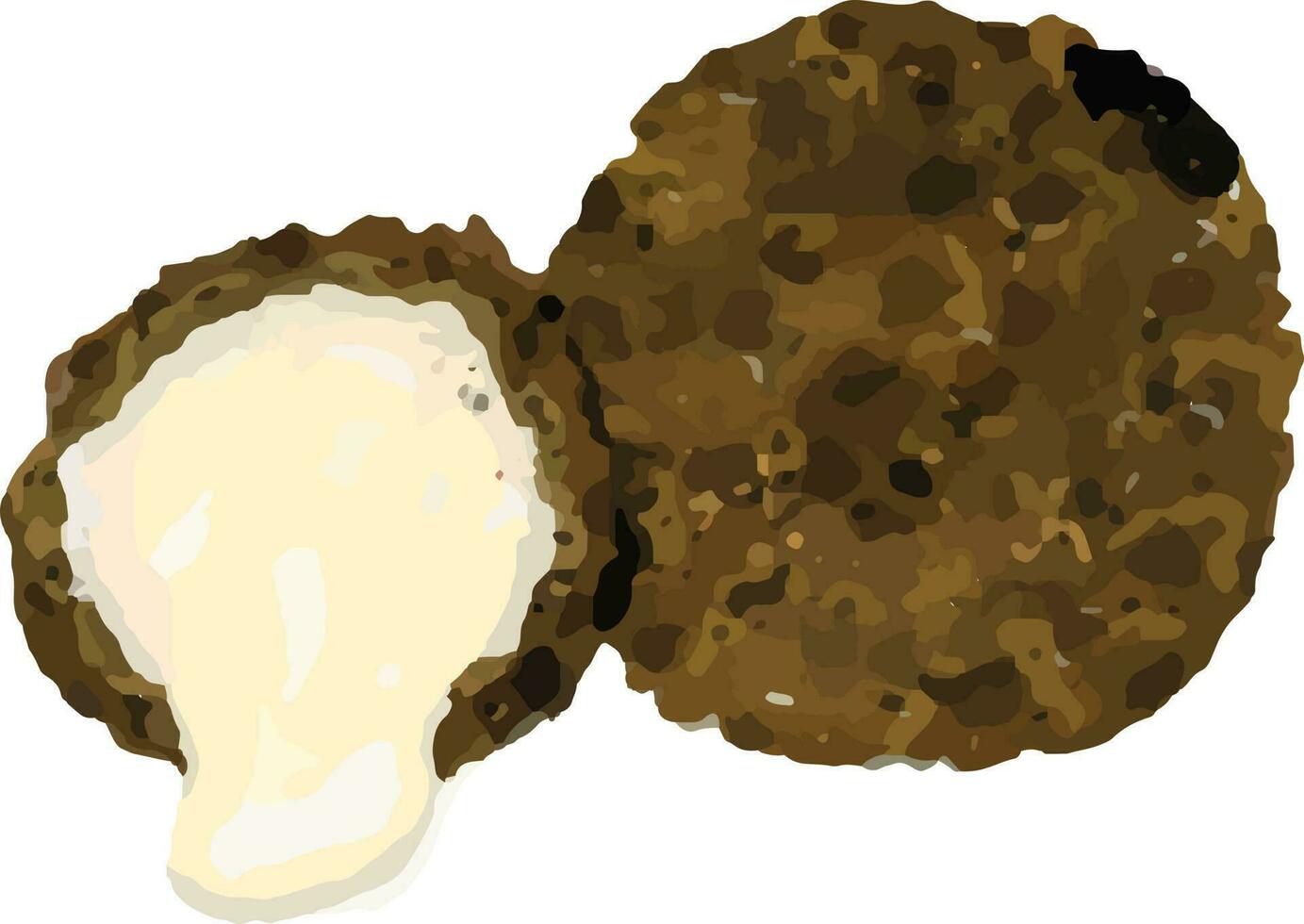 yo estaba inspirado por chocolate trufas vector