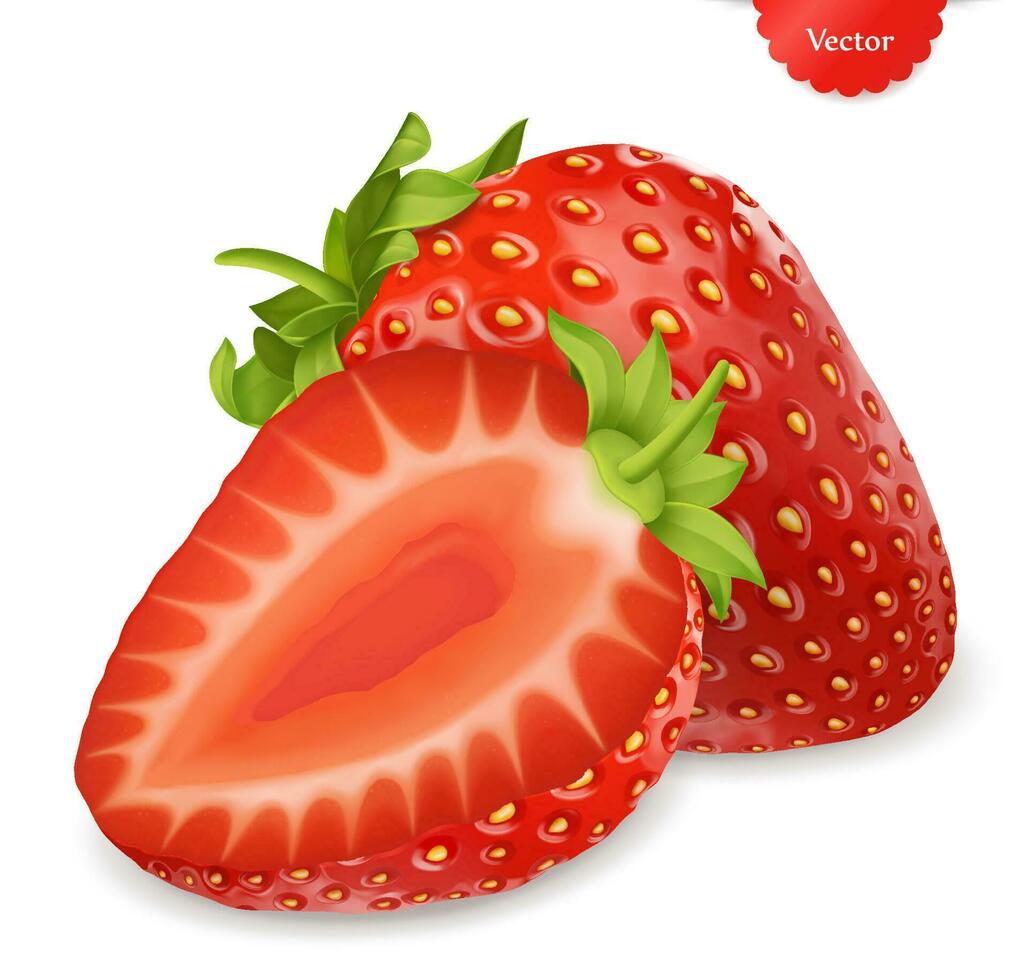 Whole and slice of strawberry realistic 3d vector illustration isolated