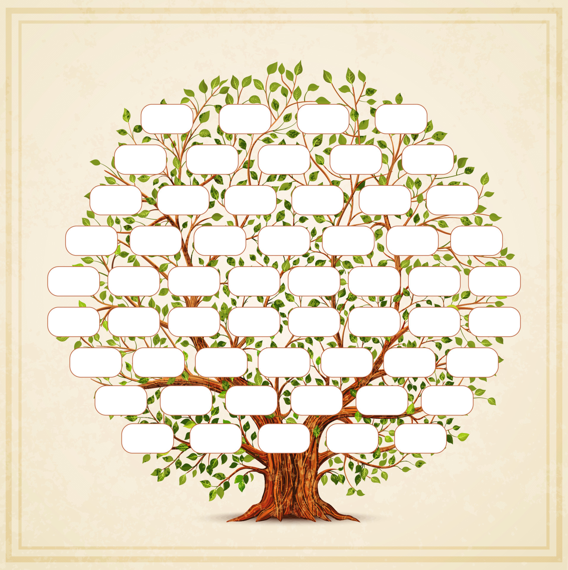 Family Tree template Genealogy pedigree Vintage style for retro Family Tree template Genealogy pedigree Vintage style for retro