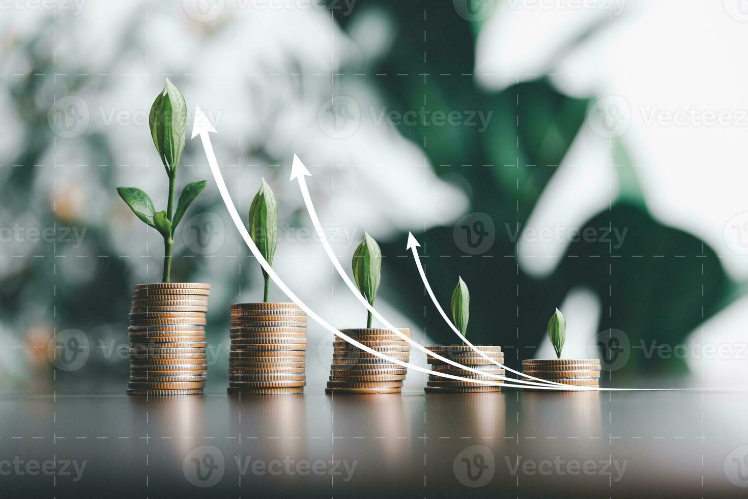 Save money, success goals and investment growth concept. Tree growing on stack coins with arrows rising on green nature background. Financial and business, Management money retire, tax. photo