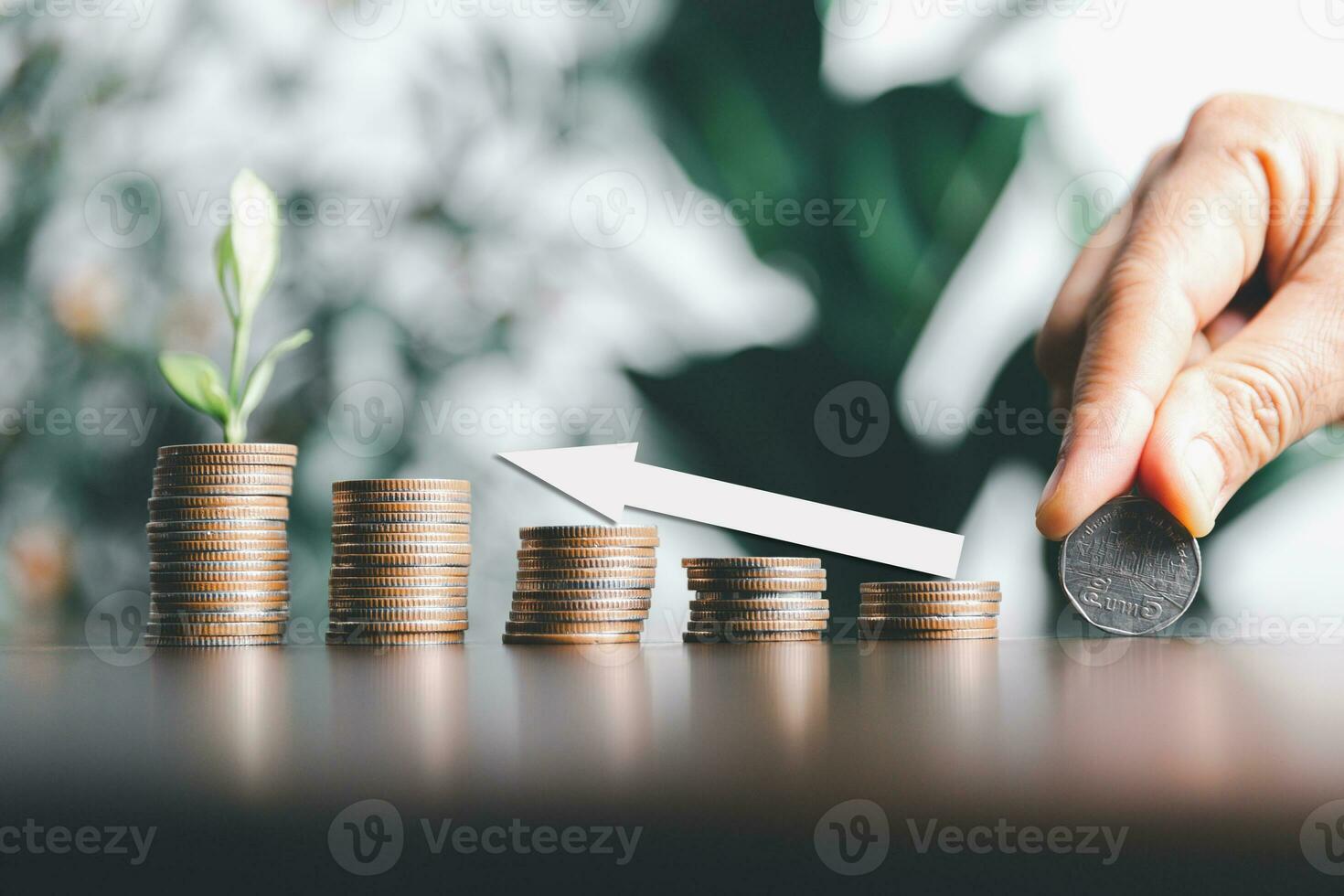 Save money, success goals and investment growth concept. Tree growing on stack coins with arrows rising on green nature background. Financial and business, Management money retire, tax. photo