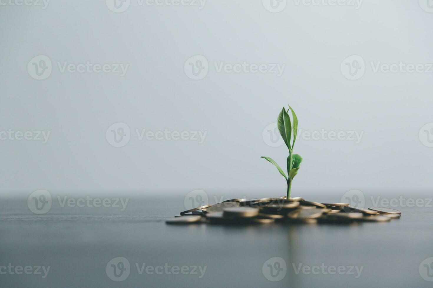 Pile of coins with plant on top for business, saving, growth, economic concept. financial accounting and save money. business economy idea. Financial and business, Management money retire, tax. photo