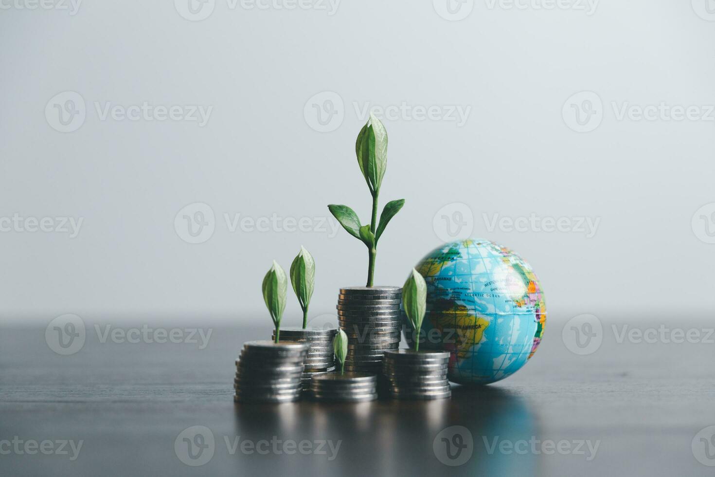 Tree growing on stack coin. financial accounting concepts and save money. business economy idea, selective focus. Financial and business, Management money retire, tax. photo