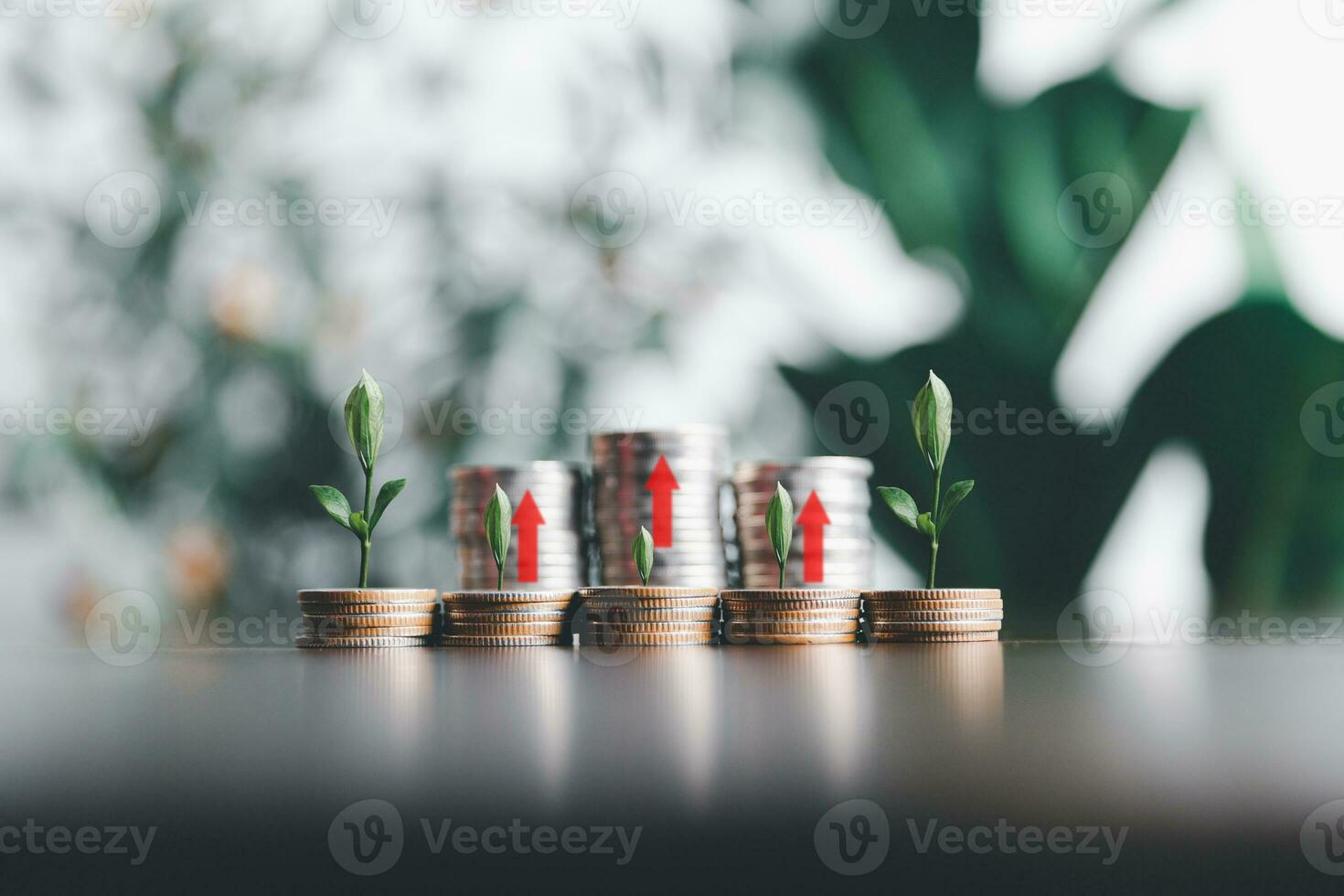 Save money, success goals and investment growth concept. Tree growing on stack coins with arrows rising on green nature background. Financial and business, Management money retire, tax. photo