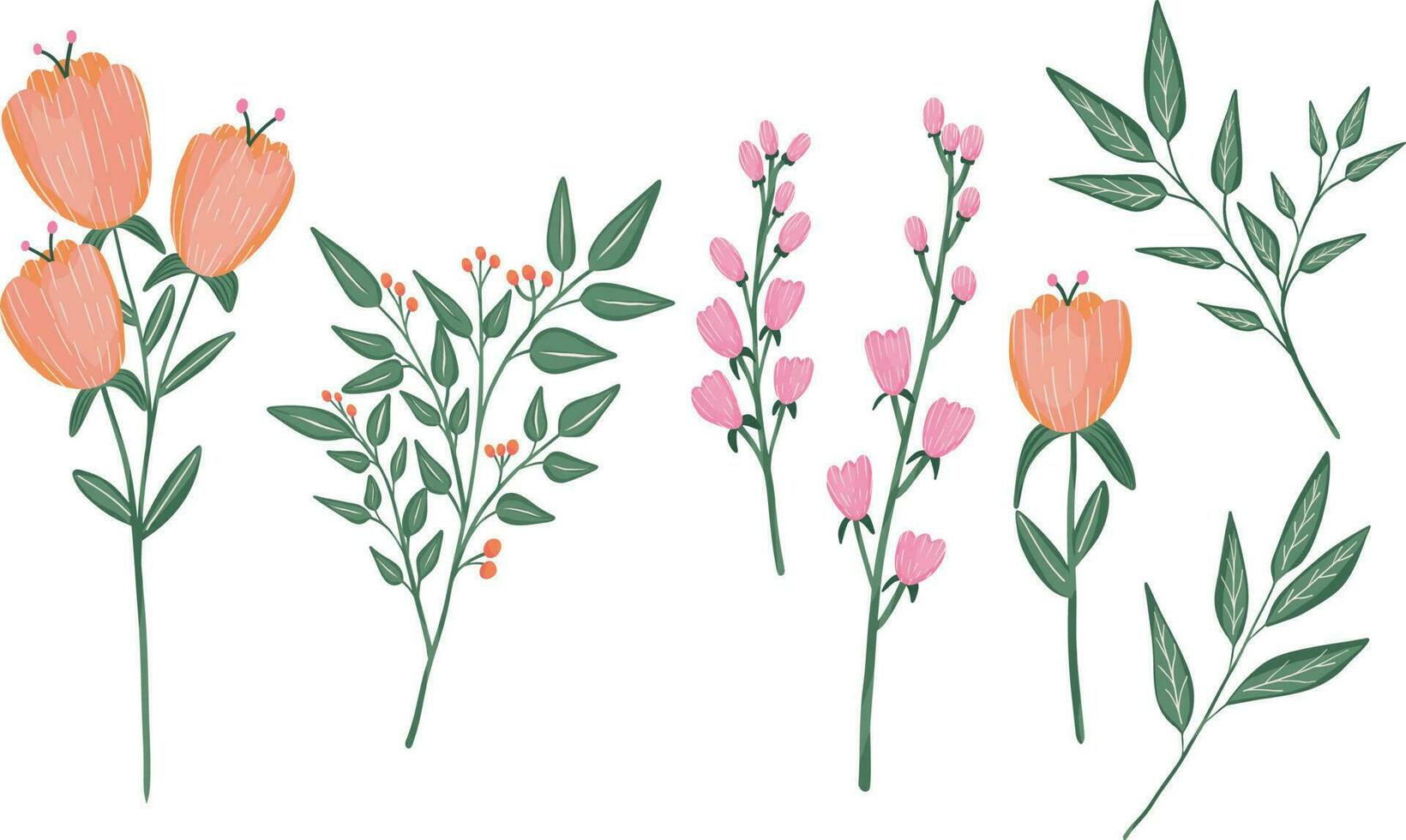 Hand drawn vector set flowers