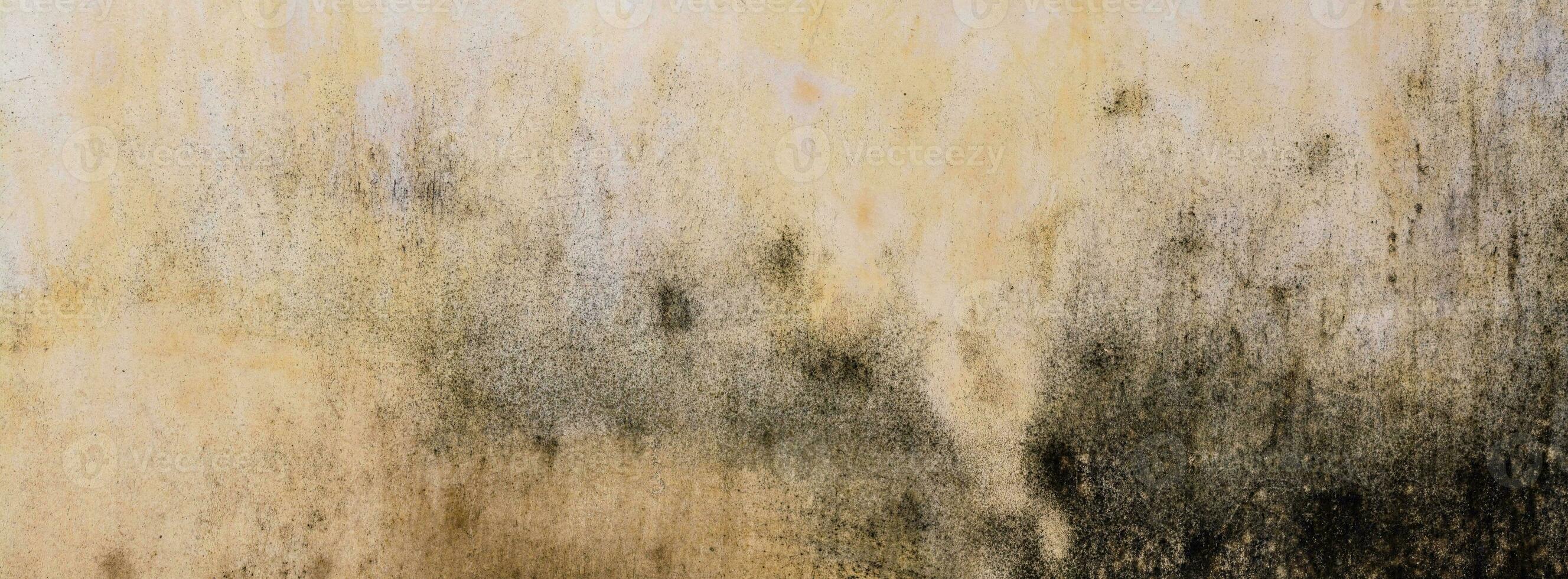 Cement wall background. Texture placed over an object to create a grunge effect for your design. photo