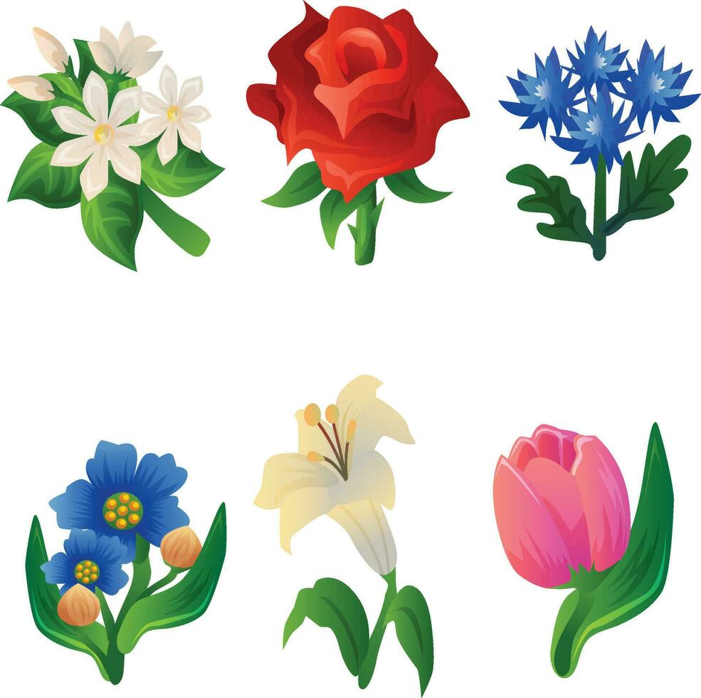 colored floral flower set vector