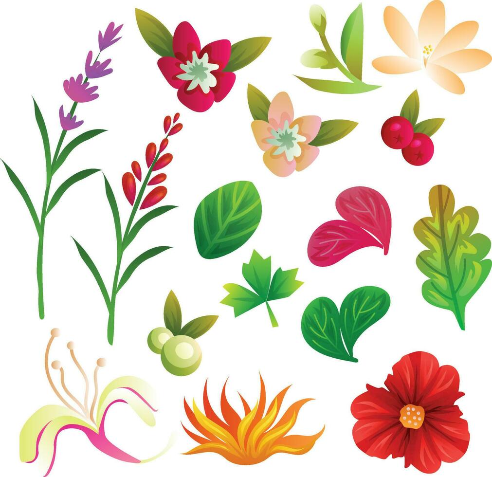 flower and foliage collection set vector