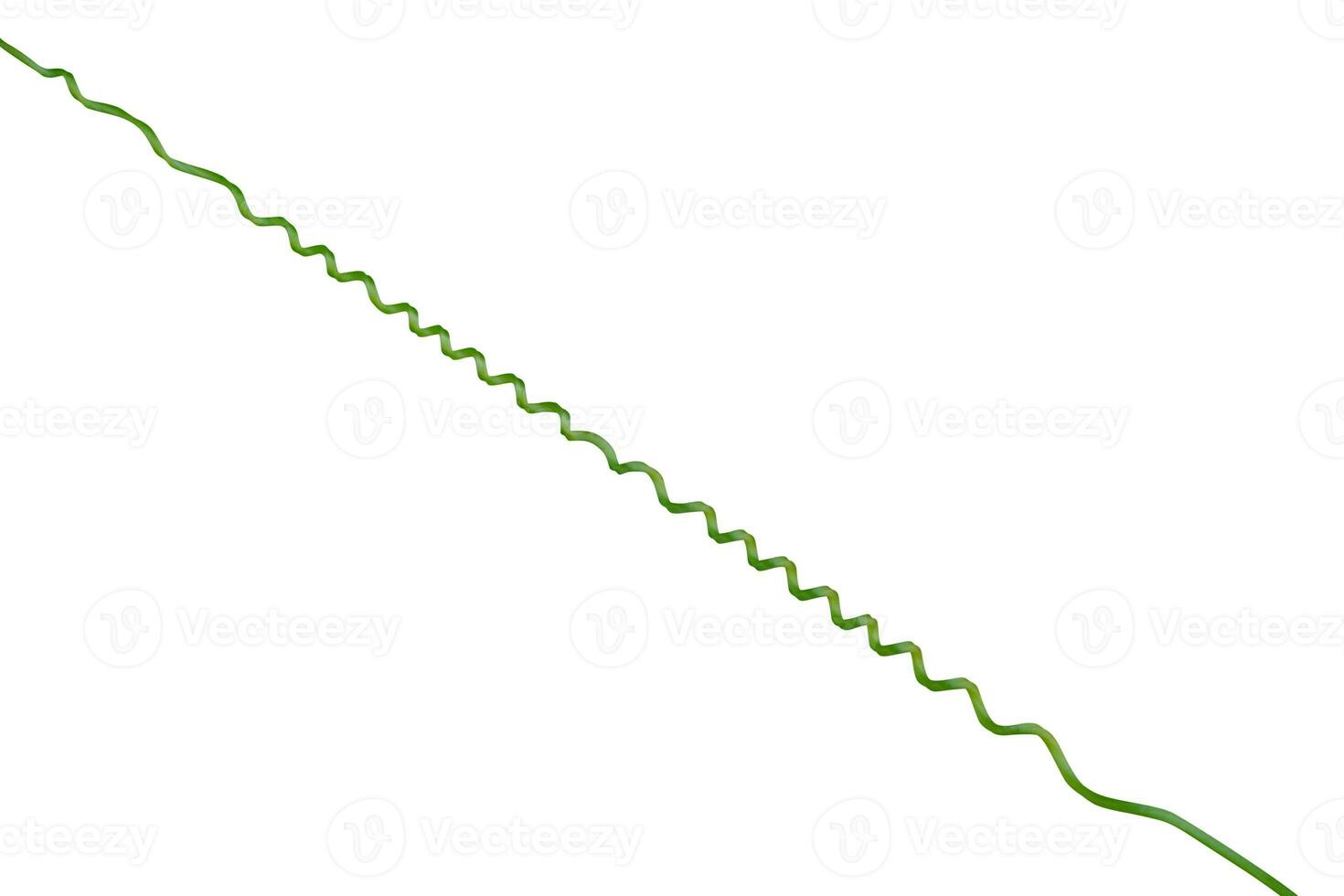 Twisted liana, Vine spring fresh green isolated on white background, clipping path photo