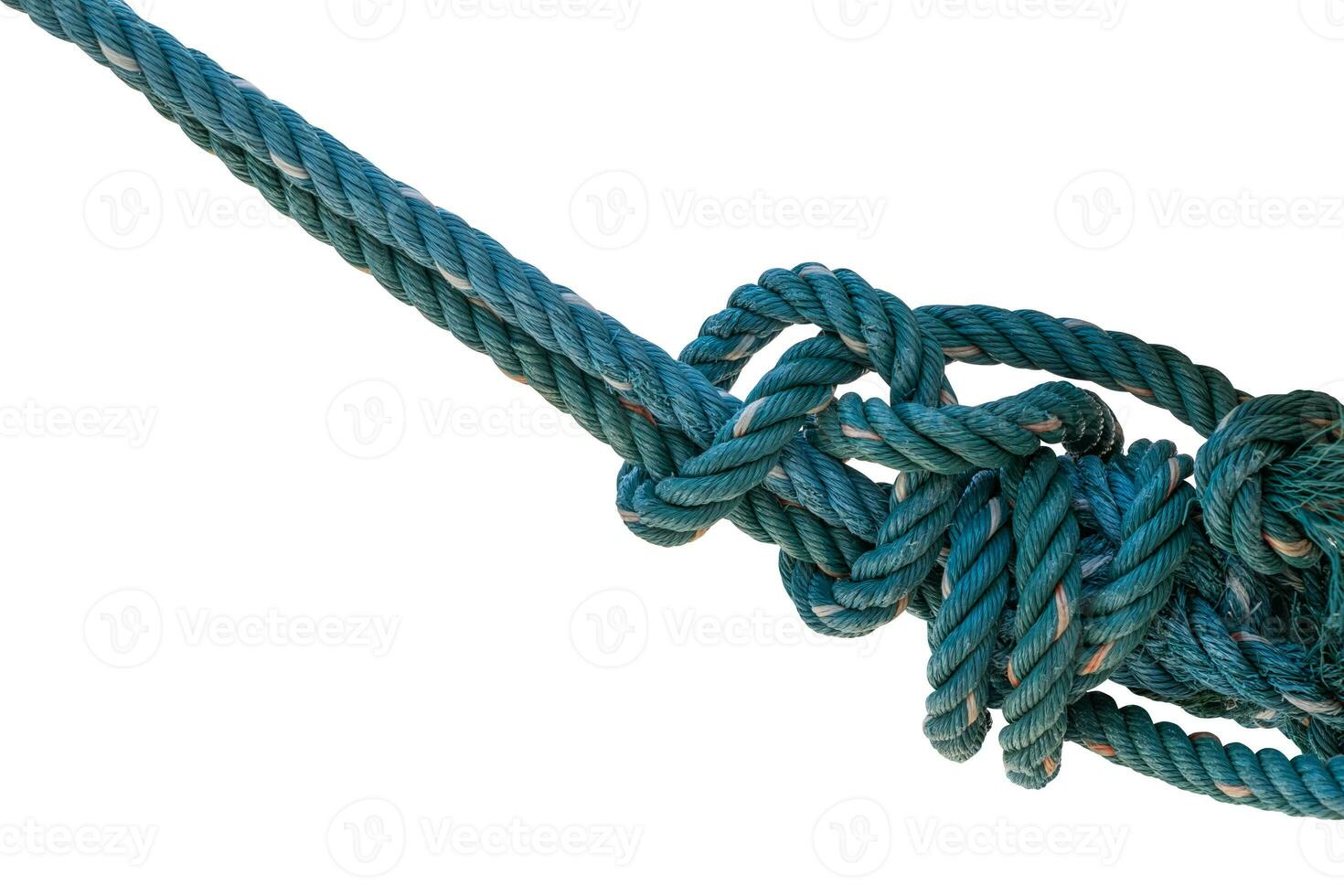 Rope tied against white background. Have clipping path photo
