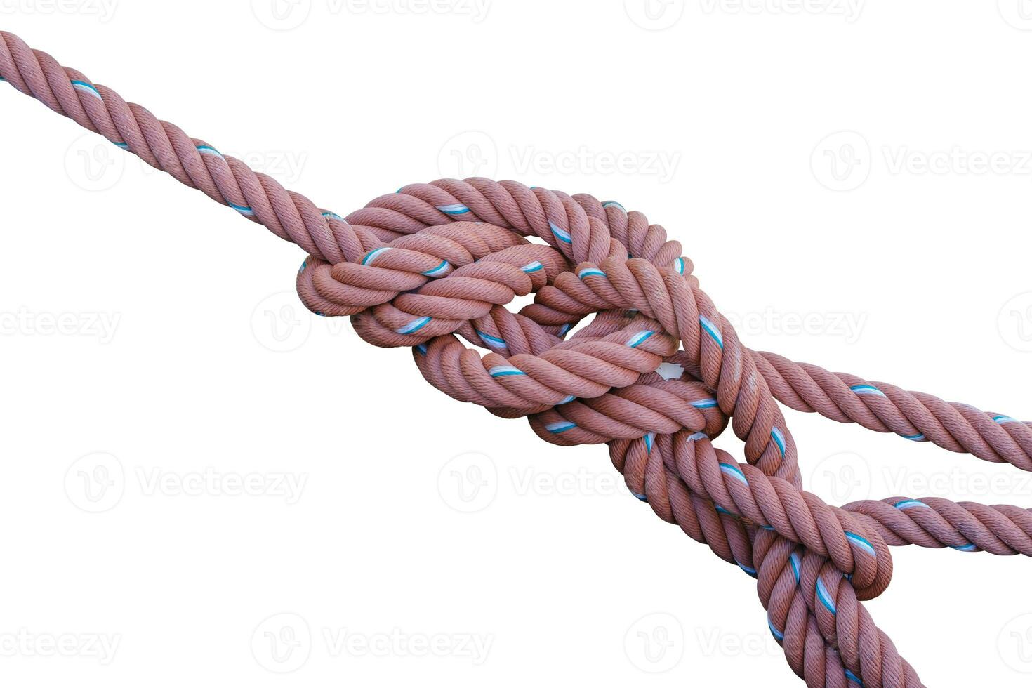 Rope tied against white background. Have clipping path photo