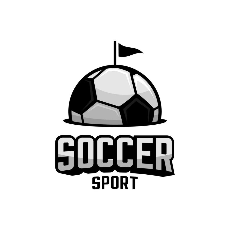 SOCCER AND FLAG vector
