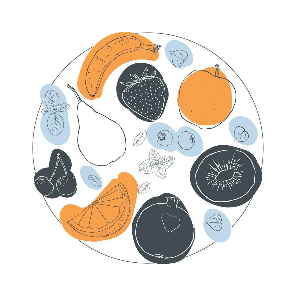 Fruit illustration sketch style bright spots circle composition vector