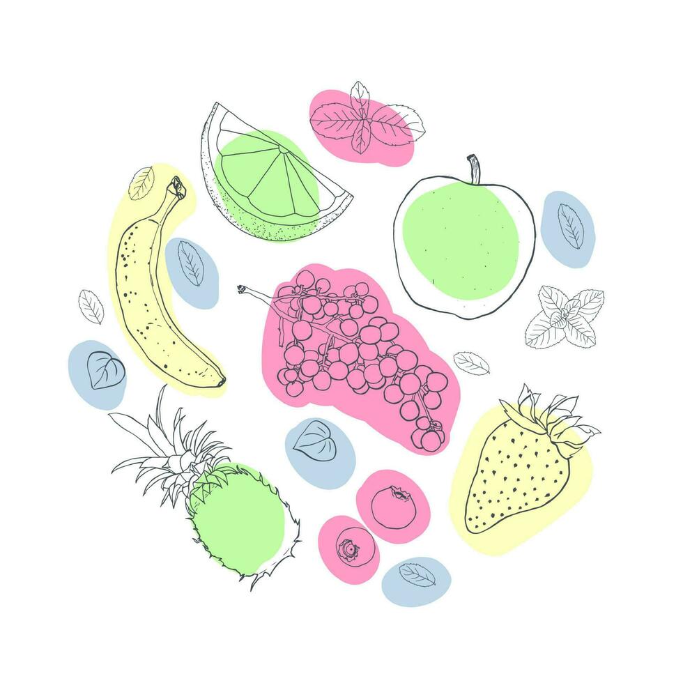 Fruta ilustración bosquejo estilo brillante lugares circulo composición vector