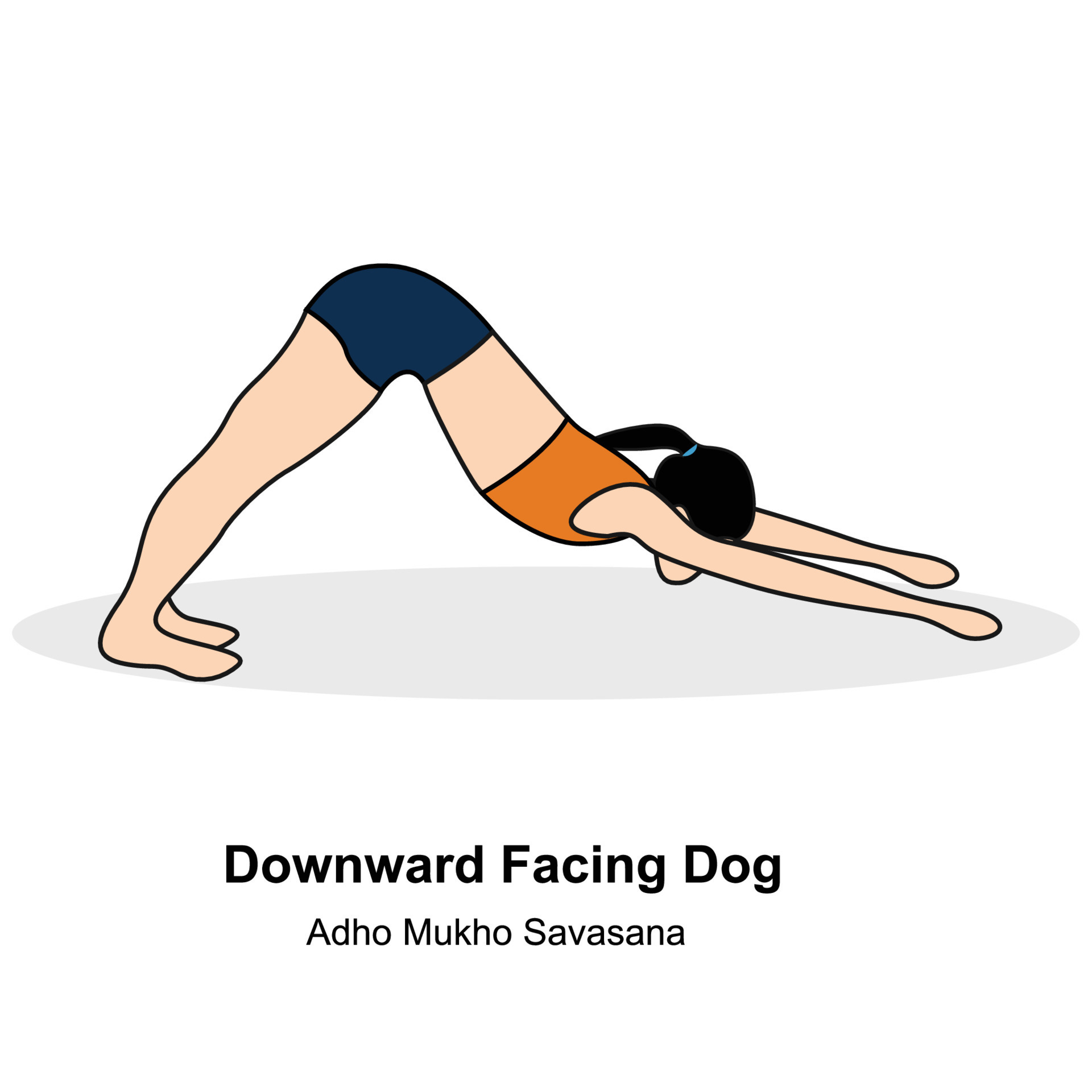 Woman doing yoga.Downward facing dog pose.Pro vector illustration. 24270815 Vector Art at Vecteezy