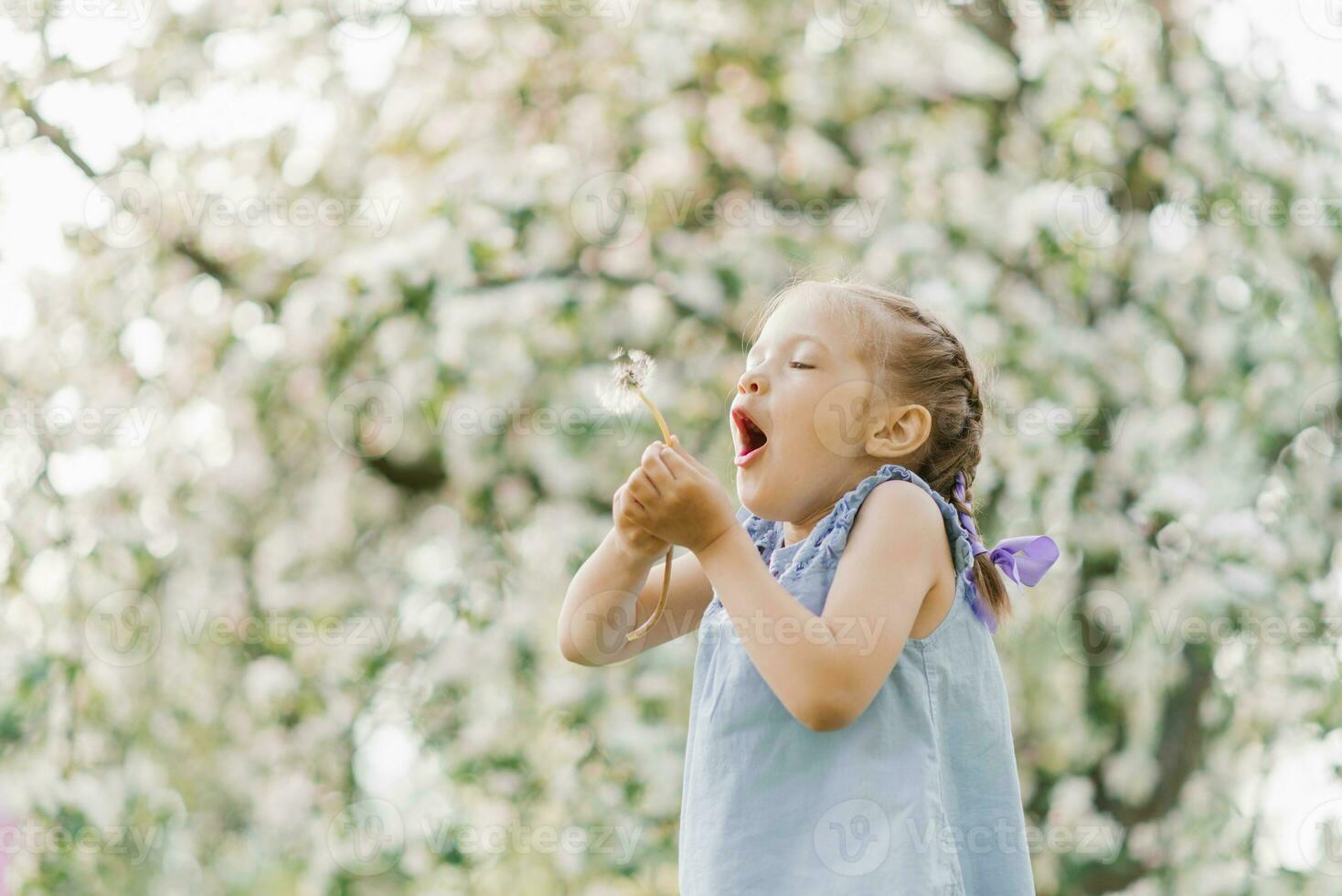 Child girl blows on a dandelion in a spring blooming garden photo