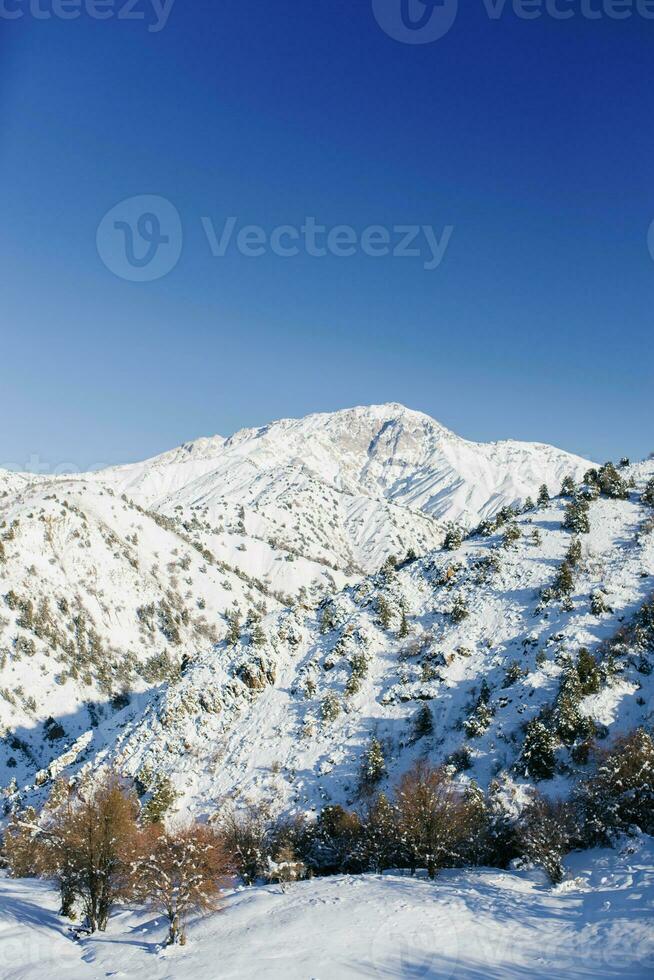 Snowy mountain peaks covered with snow on a frosty winter day photo