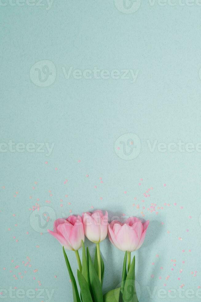 Beautiful pink spring tulips on a light mint background with pink sequins lay flat. A copy of the space. Valentine's day card, Birthday, Anniversary, March 8, Easter photo